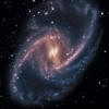 NGC1365_master650.jpg (65649 bytes)