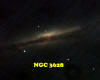NGC3628.jpg (139193 bytes)